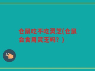 仓鼠吃不吃灵芝(仓鼠会食用灵芝吗？)