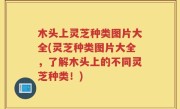 木头上灵芝种类图片大全(灵芝种类图片大全，了解木头上的不同灵芝种类！)