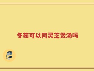 冬茹可以同灵芝煲汤吗