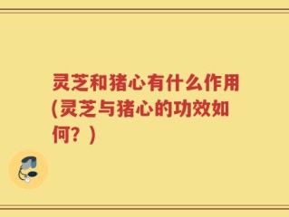 灵芝和猪心有什么作用(灵芝与猪心的功效如何？)