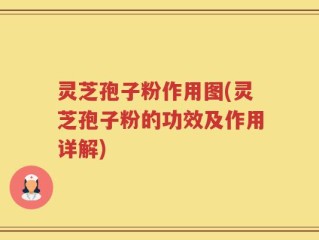 灵芝孢子粉作用图(灵芝孢子粉的功效及作用详解)