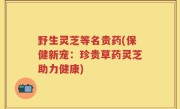 野生灵芝等名贵药(保健新宠：珍贵草药灵芝助力健康)