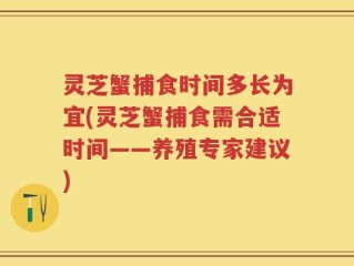 灵芝蟹捕食时间多长为宜(灵芝蟹捕食需合适时间——养殖专家建议)