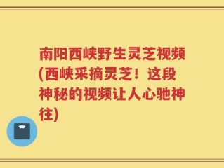 南阳西峡野生灵芝视频(西峡采摘灵芝！这段神秘的视频让人心驰神往)