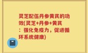 灵芝配伍丹参黄芪的功效(灵芝+丹参+黄芪：强化免疫力，促进循环系统健康)
