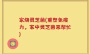家烧灵芝菌(重塑免疫力，家中灵芝菌来帮忙)