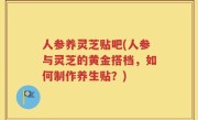 人参养灵芝贴吧(人参与灵芝的黄金搭档，如何制作养生贴？)