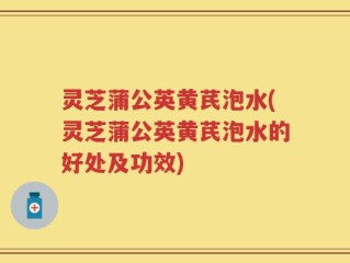 灵芝蒲公英黄芪泡水(灵芝蒲公英黄芪泡水的好处及功效)