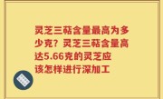 灵芝三萜含量最高为多少克？灵芝三萜含量高达5.66克的灵芝应该怎样进行深加工