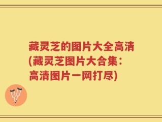 藏灵芝的图片大全高清(藏灵芝图片大合集：高清图片一网打尽)