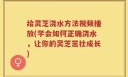 给灵芝浇水方法视频播放(学会如何正确浇水,让你的灵芝茁壮成长)