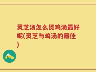 灵芝汤怎么煲鸡汤最好呢(灵芝与鸡汤的最佳)