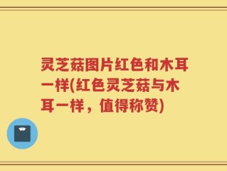 灵芝菇图片红色和木耳一样(红色灵芝菇与木耳一样，值得称赞)