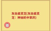 灰白底灵芝(灰白底灵芝：神秘的中草药)