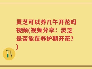 灵芝可以养几午开花吗视频(视频分享：灵芝是否能在养护期开花？)
