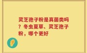 灵芝孢子粉是真菌类吗？冬虫夏草、灵芝孢子粉，哪个更好