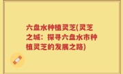 六盘水种植灵芝(灵芝之城：探寻六盘水市种植灵芝的发展之路)