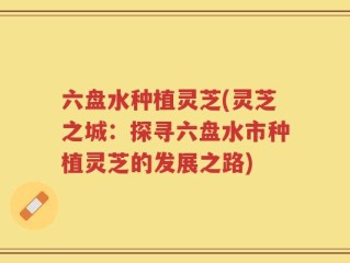 六盘水种植灵芝(灵芝之城：探寻六盘水市种植灵芝的发展之路)