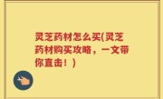 灵芝药材怎么买(灵芝药材购买攻略，一文带你直击！)