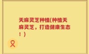 天麻灵芝种植(种植天麻灵芝，打造健康生态！)