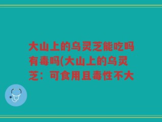 大山上的乌灵芝能吃吗有毒吗(大山上的乌灵芝：可食用且毒性不大