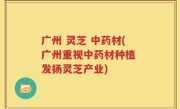 广州 灵芝 中药材(广州重视中药材种植 发扬灵芝产业)