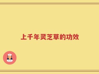 上千年灵芝草的功效