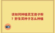 该如何种植灵芝孢子粉？野生灵种子怎么种植