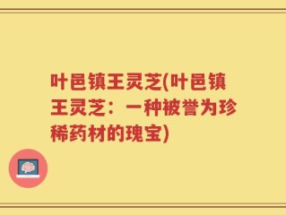 叶邑镇王灵芝(叶邑镇王灵芝：一种被誉为珍稀药材的瑰宝)