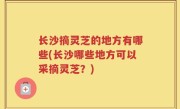 长沙摘灵芝的地方有哪些(长沙哪些地方可以采摘灵芝？)