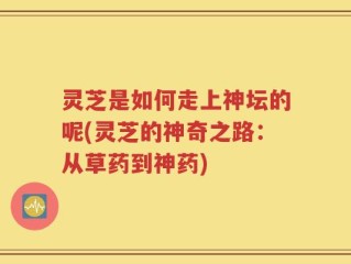 灵芝是如何走上神坛的呢(灵芝的神奇之路：从草药到神药)