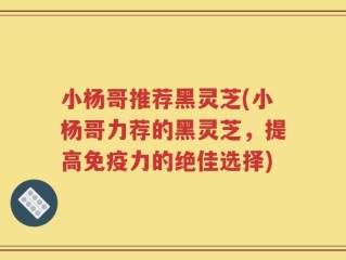 小杨哥推荐黑灵芝(小杨哥力荐的黑灵芝，提高免疫力的绝佳选择)