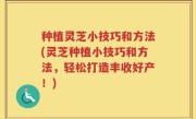 种植灵芝小技巧和方法(灵芝种植小技巧和方法，轻松打造丰收好产！)