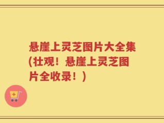 悬崖上灵芝图片大全集(壮观！悬崖上灵芝图片全收录！)