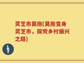 灵芝市莫拖(莫拖变身灵芝市，探究乡村振兴之路)