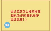 金边灵芝怎么拍照推荐相机(如何用相机拍好金边灵芝？)