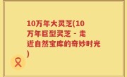 10万年大灵芝(10万年巨型灵芝 - 走近自然宝库的奇妙时光)