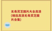 无毒灵芝图片大全高清(精选高清无毒灵芝图片合集)