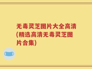 无毒灵芝图片大全高清(精选高清无毒灵芝图片合集)