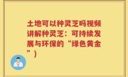 土地可以种灵芝吗视频讲解种灵芝：可持续发展与环保的“绿色黄金”)