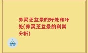 养灵芝盆景的好处和坏处(养灵芝盆景的利弊分析)