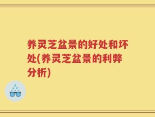 养灵芝盆景的好处和坏处(养灵芝盆景的利弊分析)