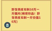 野生铁皮石斛10万一斤图片(稀世珍品！野生铁皮石斛一斤价值10万)