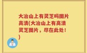 大冶山上有灵芝吗图片高清(大冶山上有高清灵芝图片，尽在此处！)
