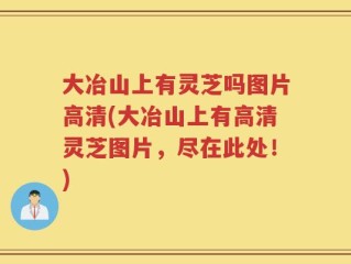 大冶山上有灵芝吗图片高清(大冶山上有高清灵芝图片，尽在此处！)