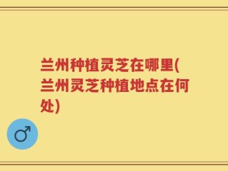 兰州种植灵芝在哪里(兰州灵芝种植地点在何处)