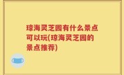 琼海灵芝园有什么景点可以玩(琼海灵芝园的景点推荐)