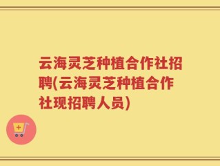 云海灵芝种植合作社招聘(云海灵芝种植合作社现招聘人员)