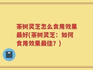 茶树灵芝怎么食用效果最好(茶树灵芝：如何食用效果最佳？)