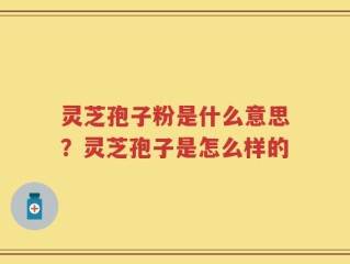 灵芝孢子粉是什么意思？灵芝孢子是怎么样的